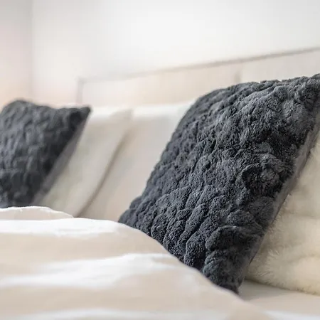 Duenen 公寓 韦斯特兰