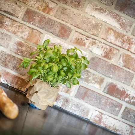 Duenen 公寓 韦斯特兰